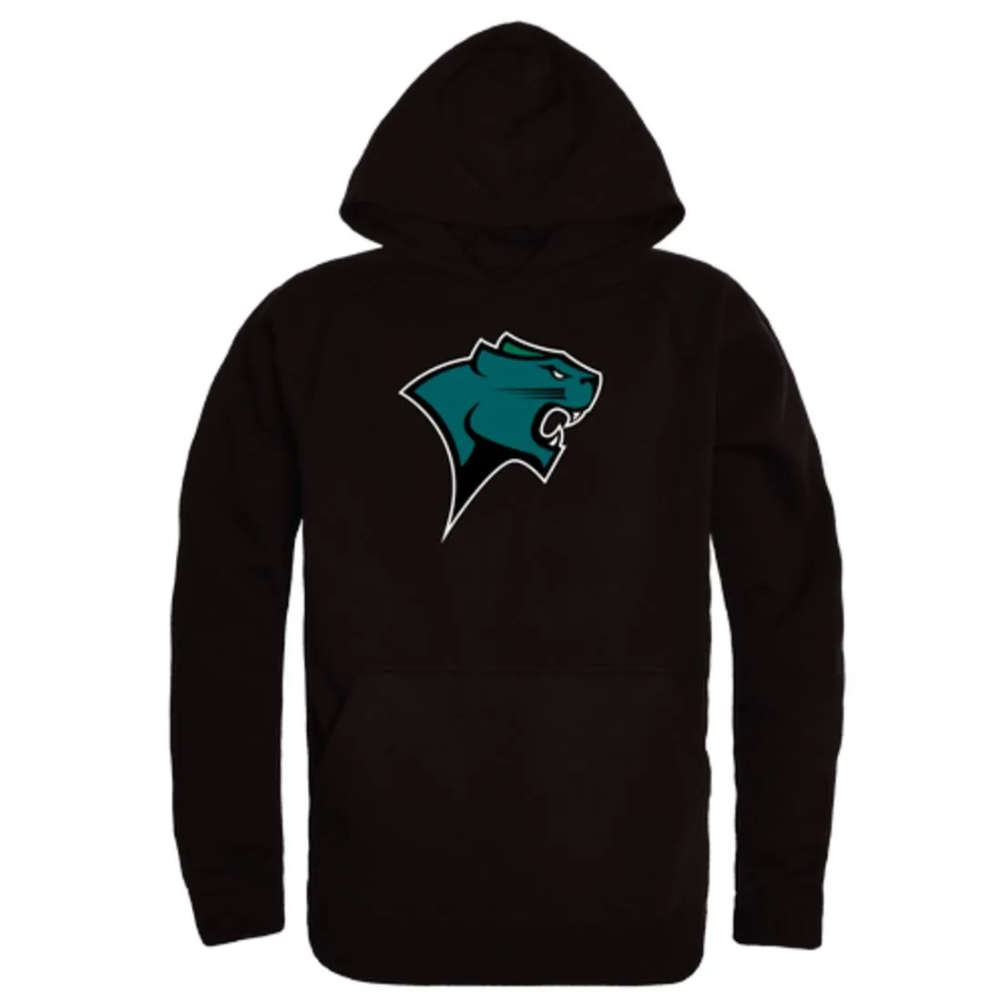 Chicago State University Cougars Freshman Fleece Hoodie Sweatshirts